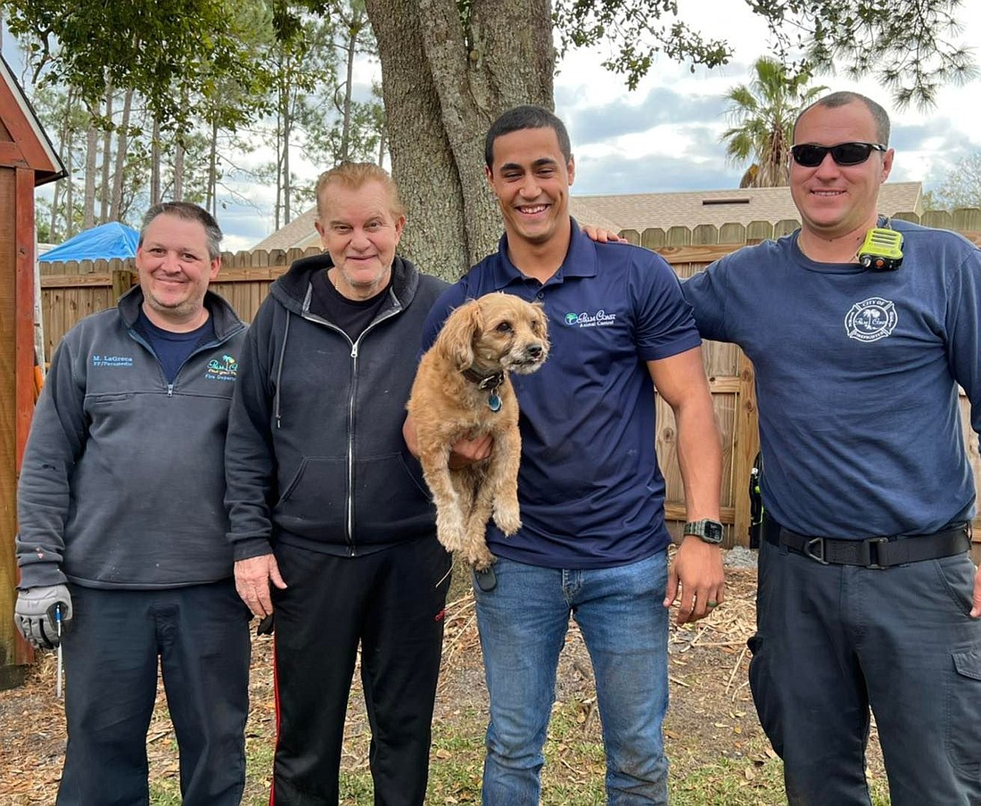 Fire Department, Animal Control rescue dog trapped under shed | Observer  Local News