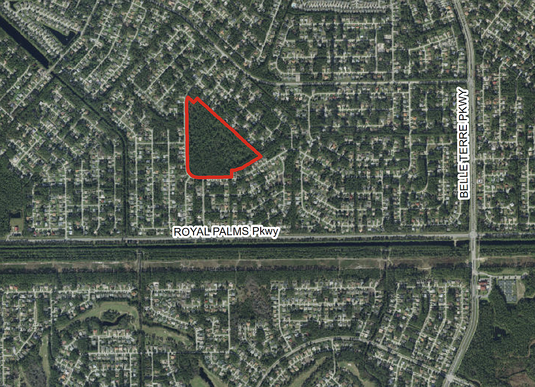 The Ryan's Landing property, as shown in Palm Coast planning board documents.