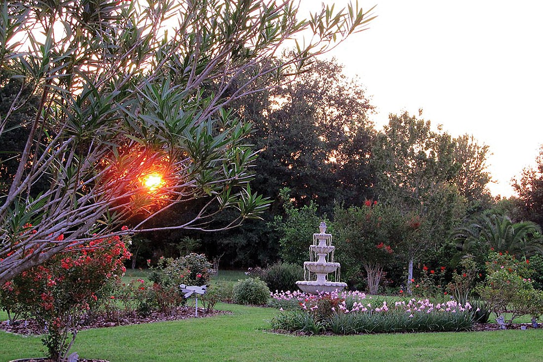 Diane Bakan took this photo of her gardens as the sun set.