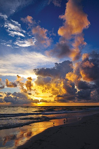 Chandra Riccio took this sunset photo near Whitney Beach on Longboat Key.