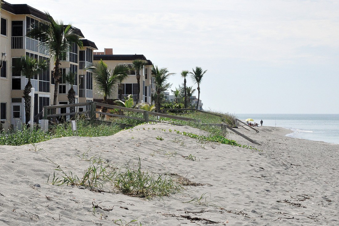 Sarasota County in 2007 had dune vegetation placed on south Siesta Key to secure sand dredged from the Gulf of Mexico.