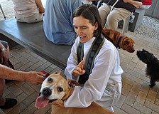 Associate Rector Andi Taylor blesses Gingerale, 11, at the Animal Blessing Sunday, Sept. 30 at St. Boniface Episcopal Church.