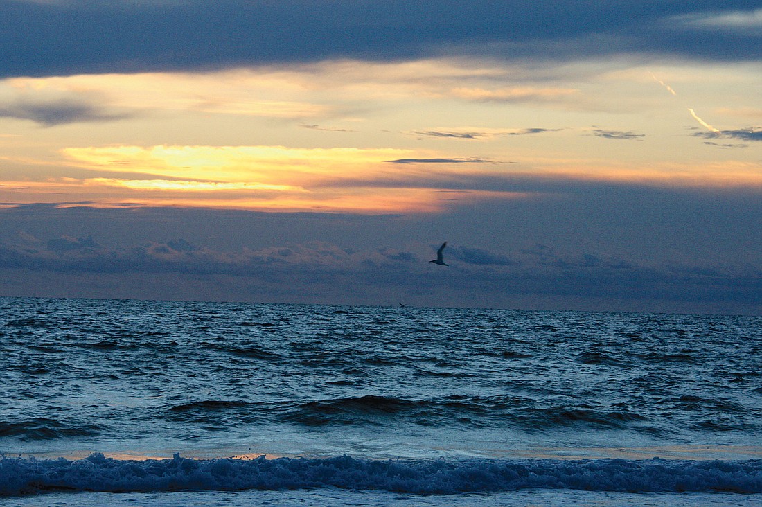 David Rosenthal took this sunset photo of a bird flying home on Longboat Key.