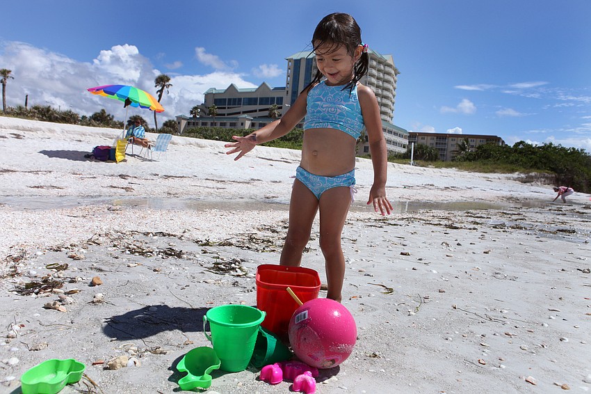 Matilda Diconstanzo, 3, has fun Monday, Oct. 1, playing by the water and collecting seashells at Lido Beach.