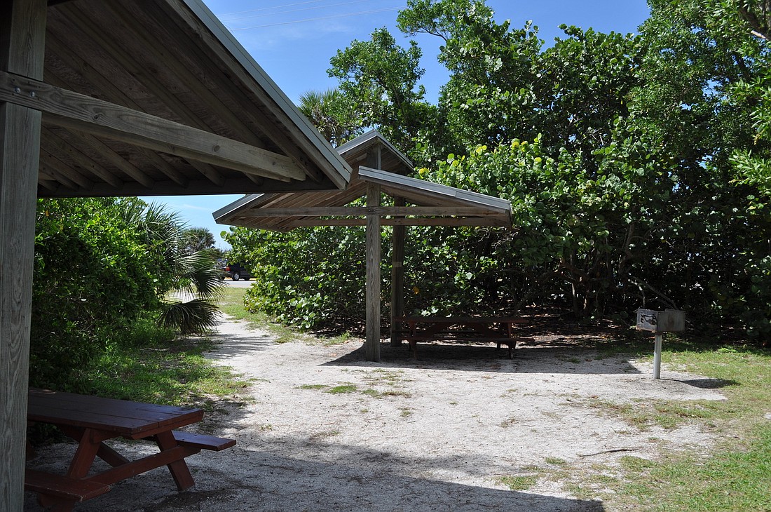 Sarasota County Natural Resources staff hopes to, in the near future, hold an educational event at Turtle Beach Park about legally trimming protected plants.