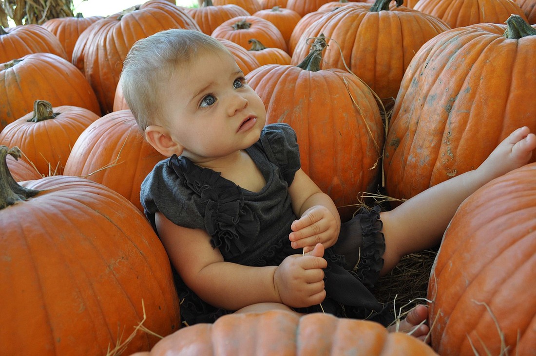 Sitting among the pumpkins, 8-month-old Emma Pillsbury made for a picture-perfect moment.