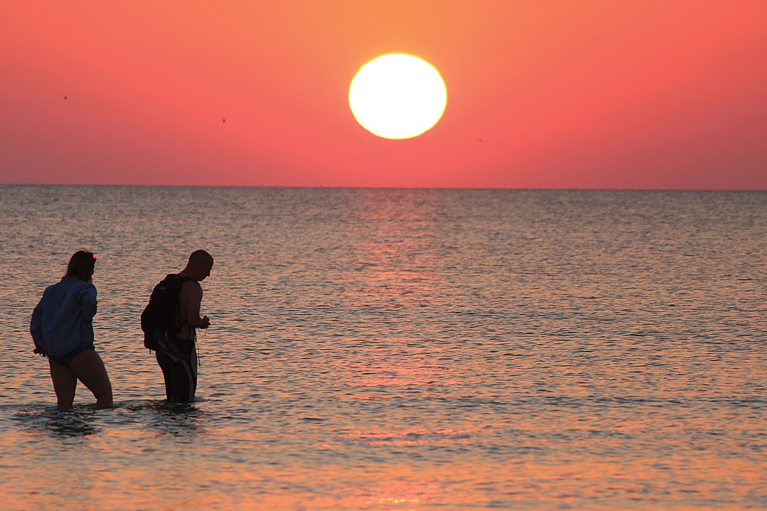 Kathy Schwartz submitted this sunset photo of two people wading in the water on Siesta Key.
