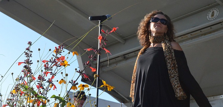 Lauren Mitchell of The Lauren Mitchell Band performed for the crowd.