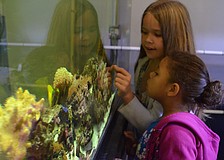 Isabella Hardin and Kayla Michael look into the coral tank.
