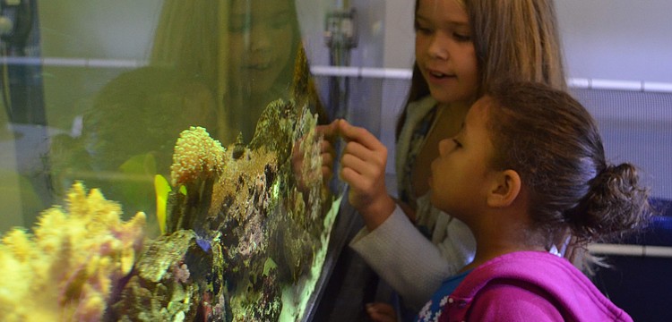 Isabella Hardin and Kayla Michael look into the coral tank.
