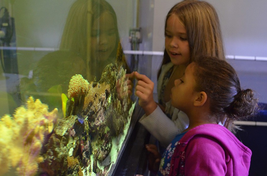 Isabella Hardin and Kayla Michael look into the coral tank.