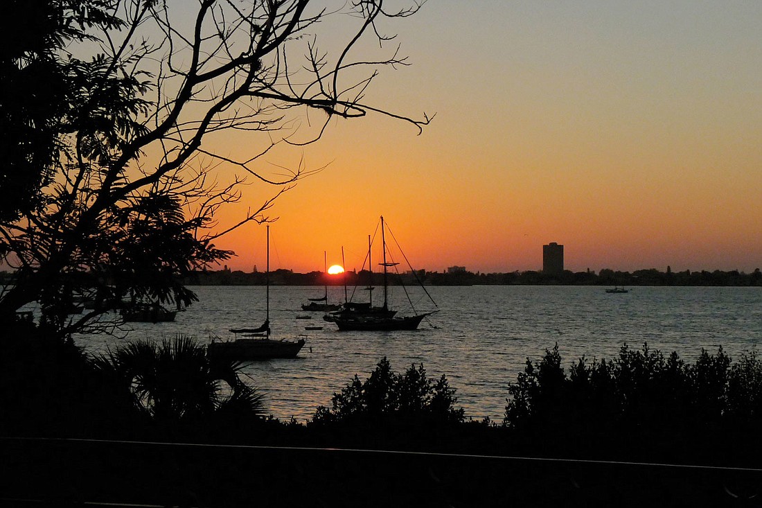 Dotty Terry submitted this sunset photo, taken from Marie Selby Botanical Gardens.