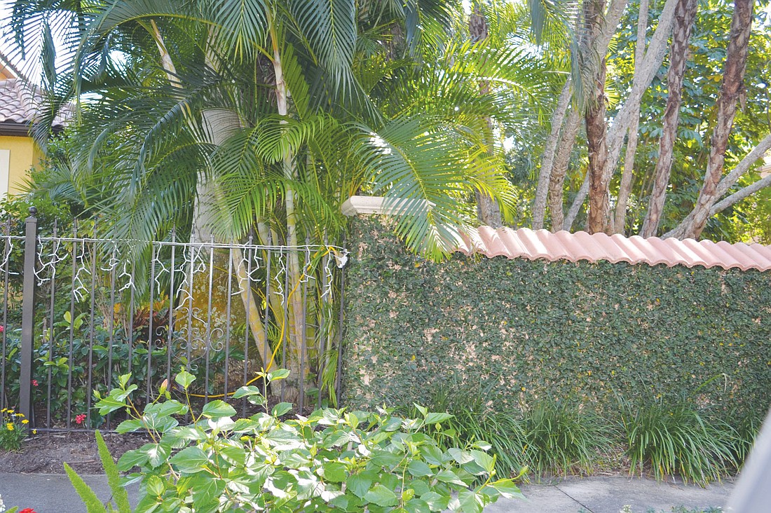 A solid wall stands next to a wrought-iron fence. Many residents have chosen the type of front-yard fence shown on the left that people can see through.