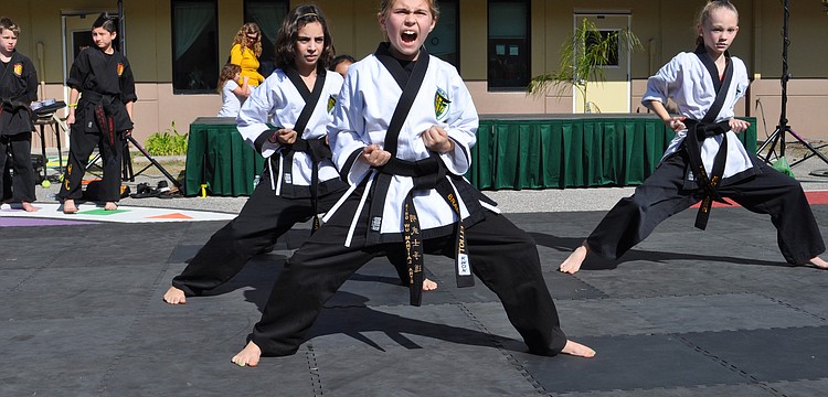 McNeal Elementary School's Braden Elliott, 9, led a demonstration with Ming Wu Martial Arts.