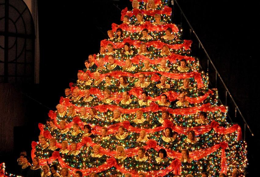 PHOTO GALLERY Singing Christmas Tree