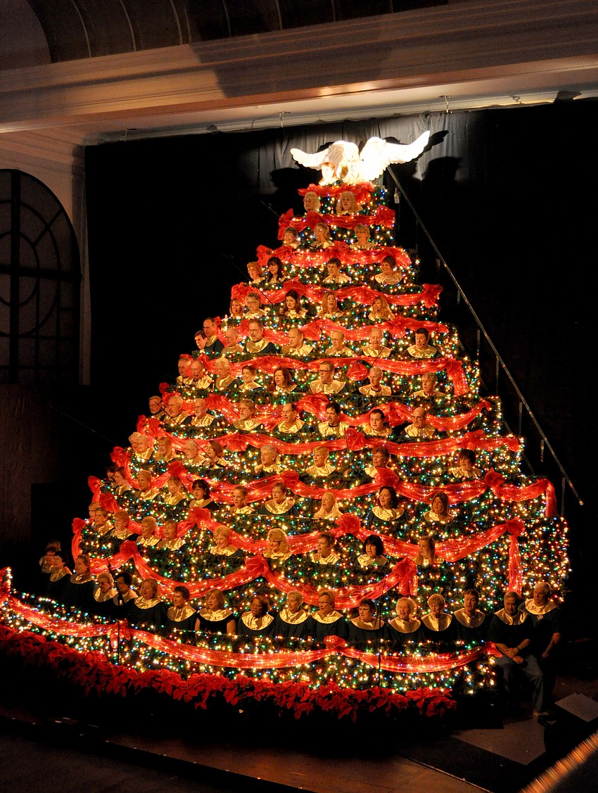 Choir members take their places in the risers to form the singing Christmas tree.