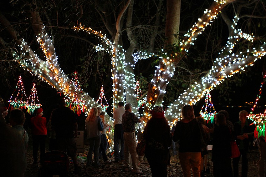 People wrote their wishes on different colored ribbons and tied their wishes for the holiday season and the new-year to the â€œWishing Treeâ€, also known as the Bo tree, Saturday, Dec. 15, at Marie Selby Botanical Gardens.