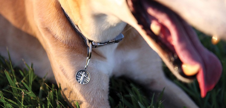Rudy, 10, wears his medal he got after being blessed Friday, Sept. 28 at Our Lady of Mount Carmel in Osprey.