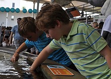 Couins Noah Crisp and Griffin White got a hands-on lesson June 2 during World Ocean Day at Mote Marine Laboratory.