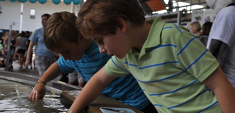 Couins Noah Crisp and Griffin White got a hands-on lesson June 2 during World Ocean Day at Mote Marine Laboratory.