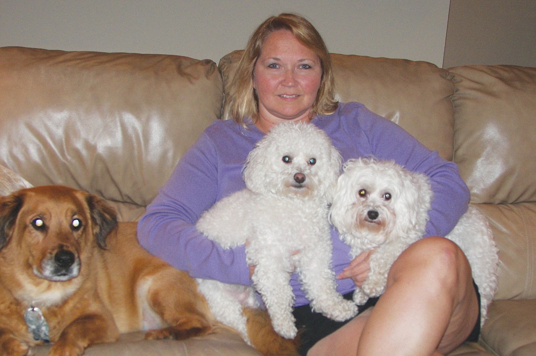 Judi Moore, who runs the Siesta Key lost pet hotline, with Sophie, Reckless and Yogi. Courtesy