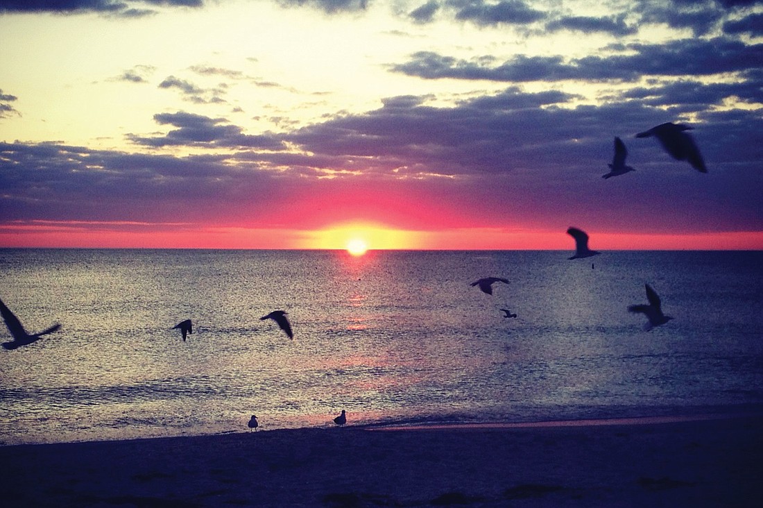 McKenzie Chadwell submitted this sunset photo, taken at on Lido Key.