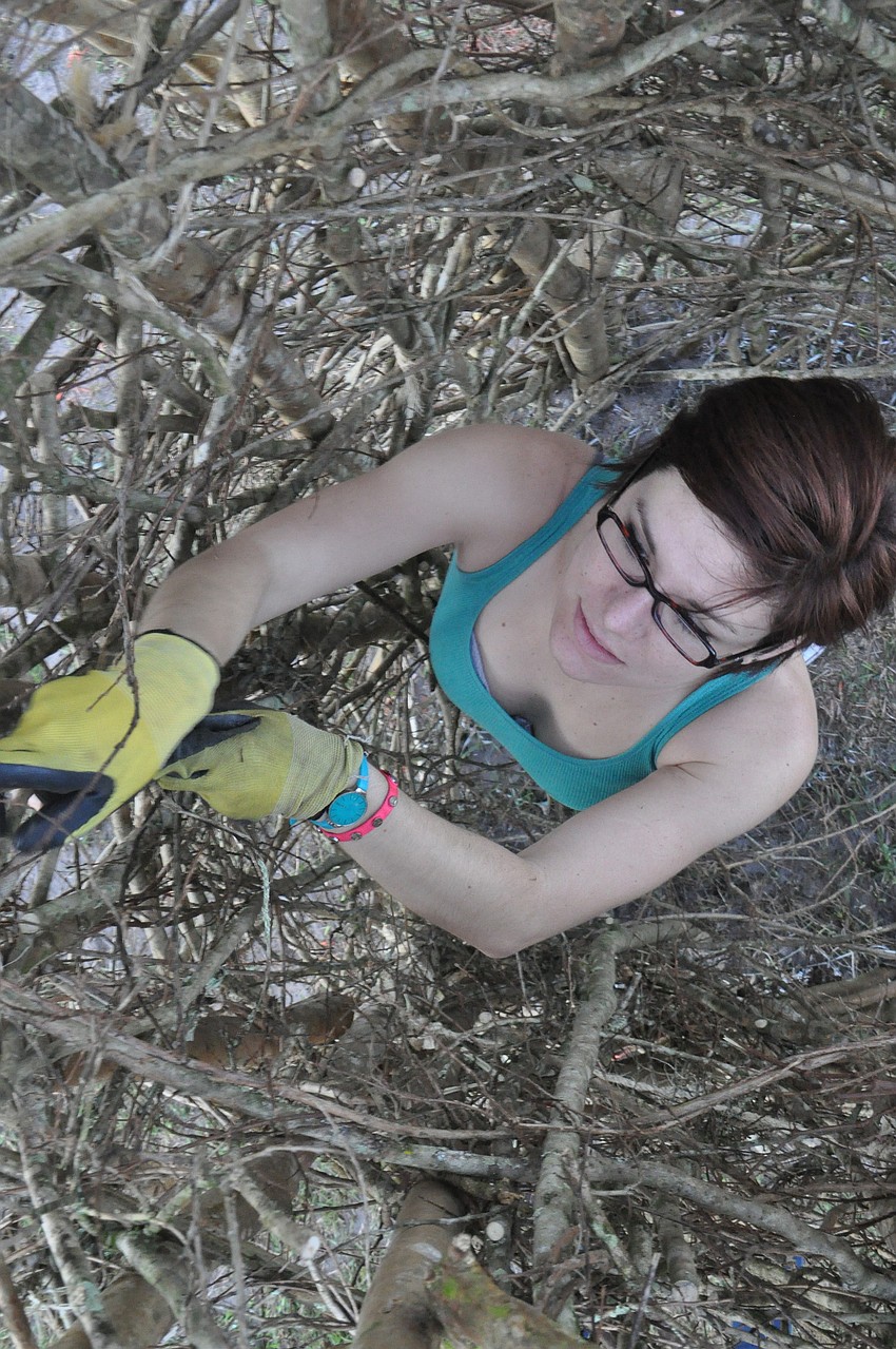 Vivian Bomblat is a senior illustrator student of Ringling College of Art and Design.