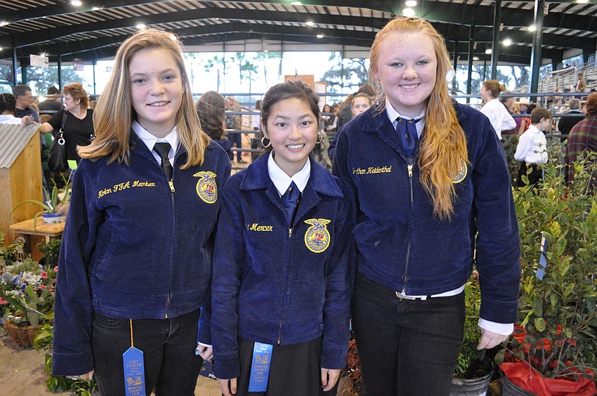 Sherlyn Best, Haley Mercer and Sandra Maddox represented Nolan Middle Schools FFA chapter.
