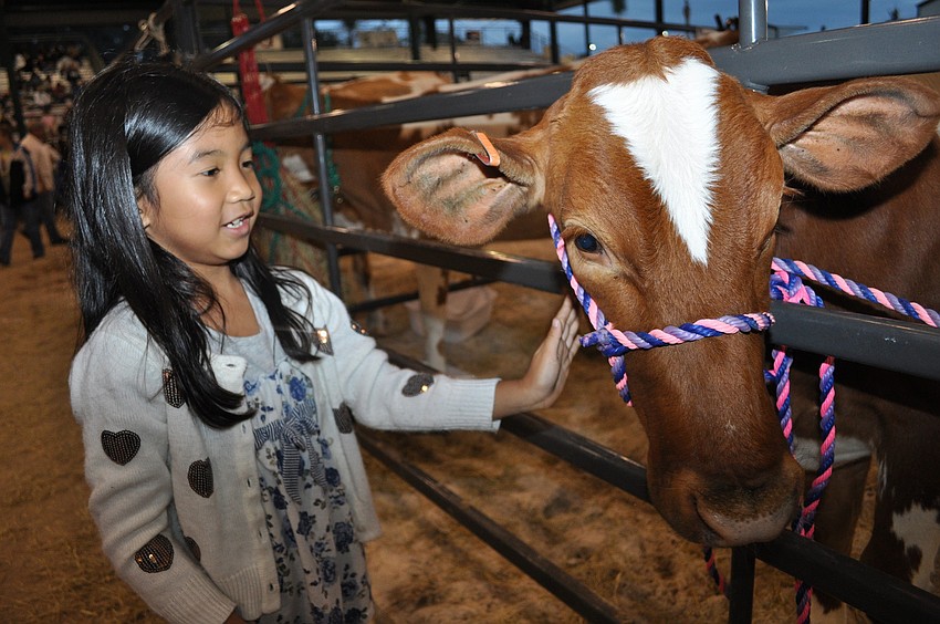 Jaelyn Symoungkhoune couldnâ€™t get enough of petting the cows.