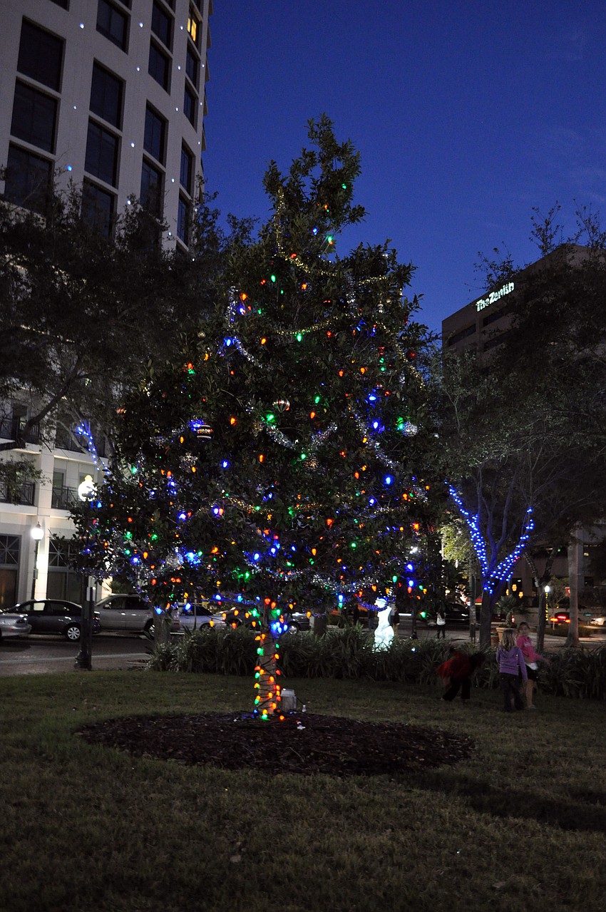 The tree was lit and decorated as part of an event put on by the Sarasota Downtown Merchants Association.