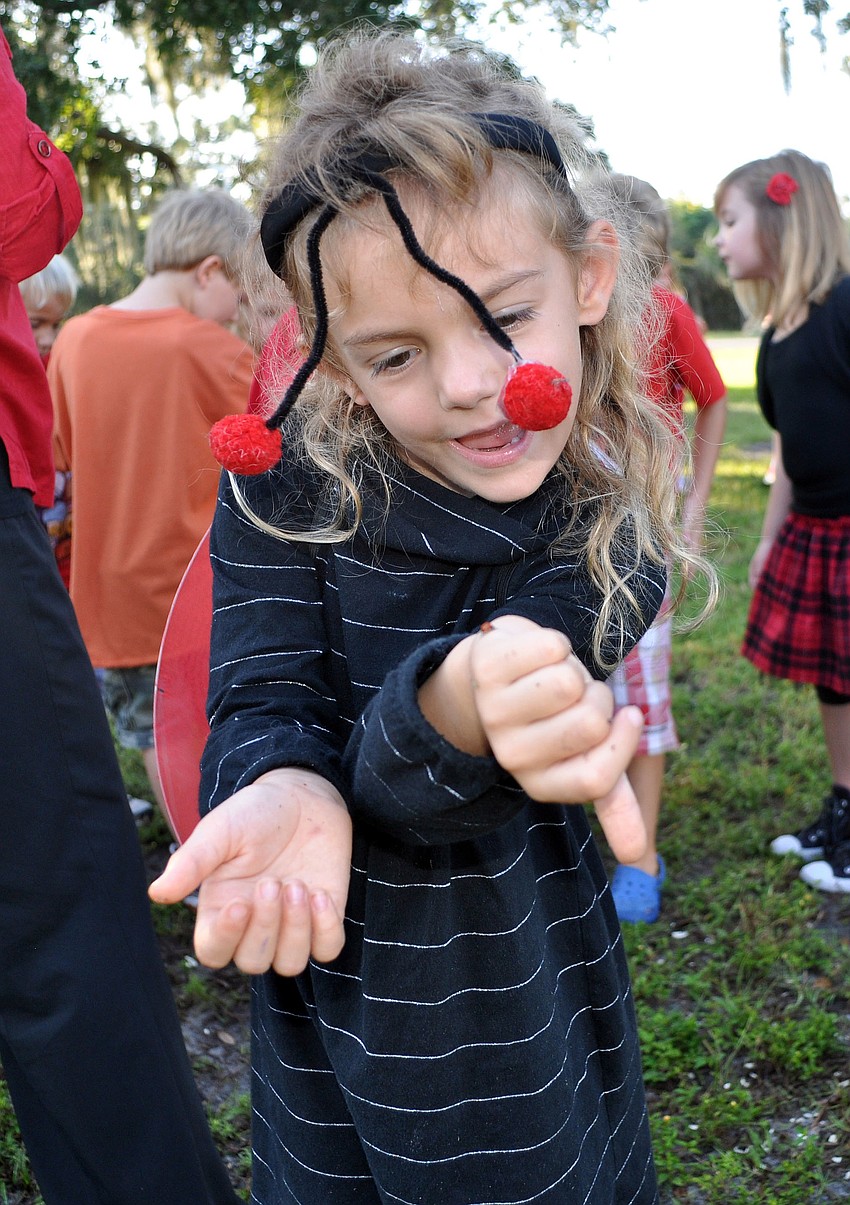 Becket Cooke, 5, has fun watching a ladybug crawl up her arm.