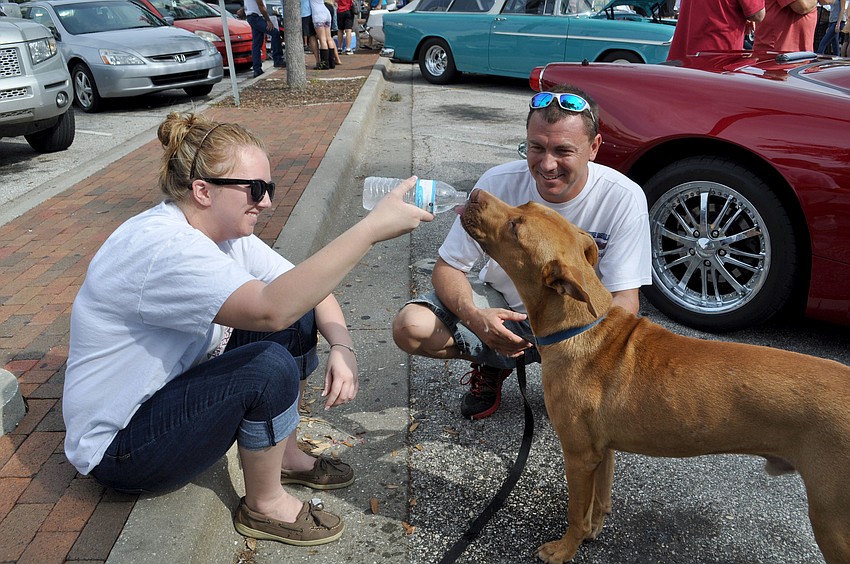 Samantha Martin and Dennis Dibona give their dog, Jenner, a drink of water.