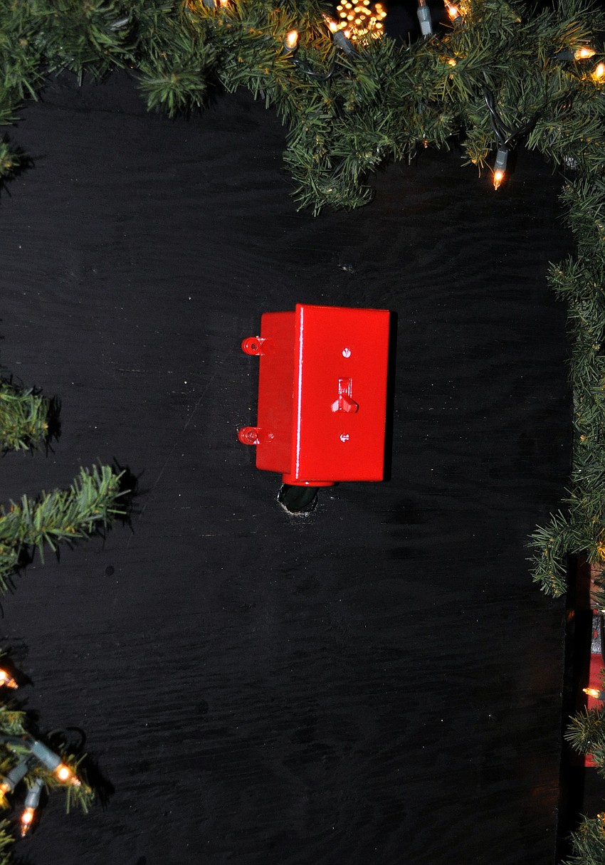 The switch that flips on the lights on the bromeliad tree.