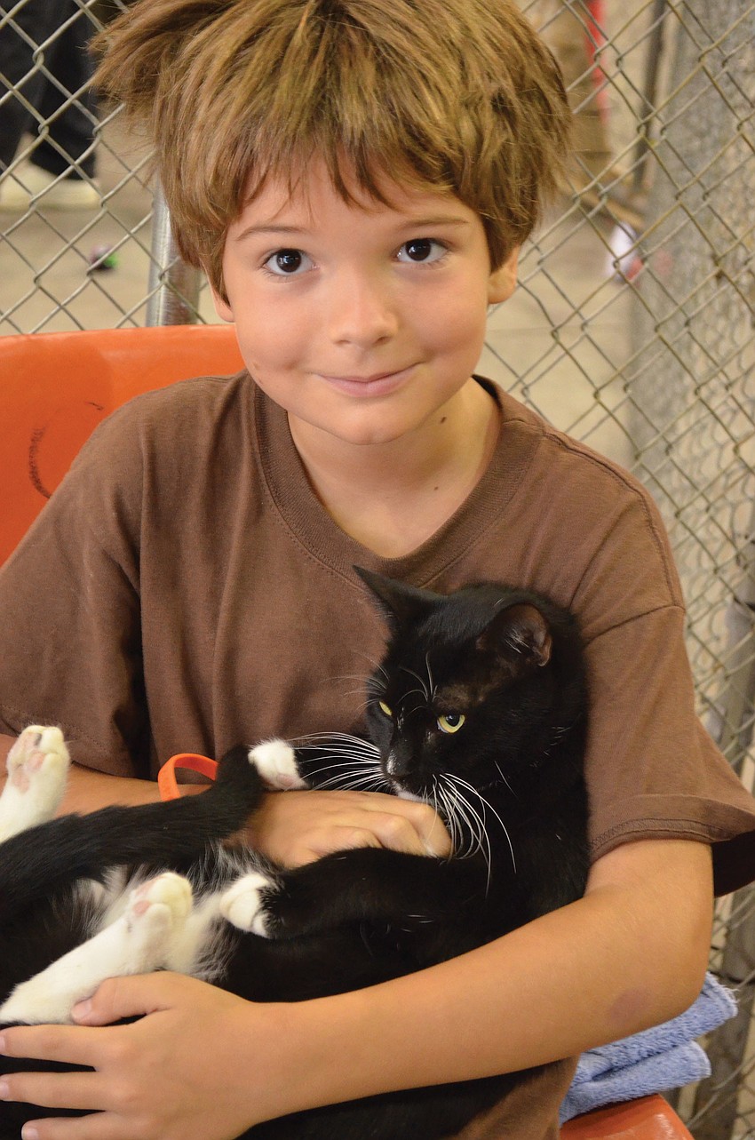 Cat Depot, in partnership with the American Society for the Prevention of Cruelty to Animals, held a major adoption event for rescued cats from Caboodle Ranch Animal Sanctuary. Mikael Riembauer attended the event.
