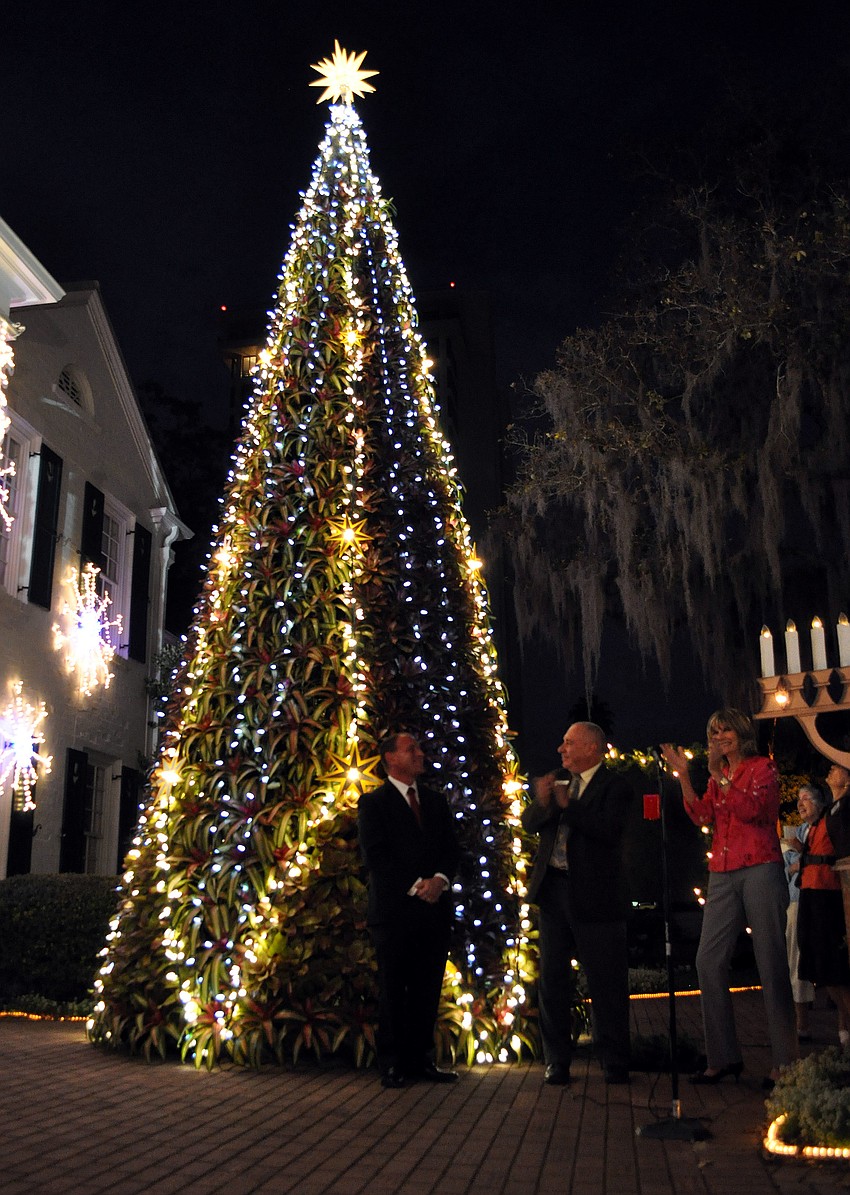 Marty Haberer, Thomas Buchter and Mayor Suzanne Atwell clap and smile after helping to flip the switch to light up the bromeliad tree.