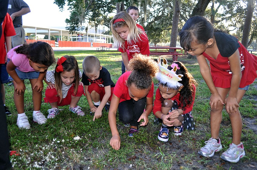 Debbie Lacyâ€™s Kindergarten class had fun searching for ladybugs that fell to the ground.