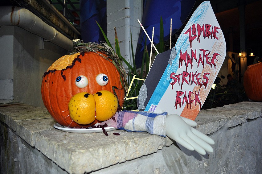 The manatee staff created a manatee zombie pumpkin that was on display during MOTEâ€™s Night of Fish, Fun and Fright, Friday, Oct. 19.