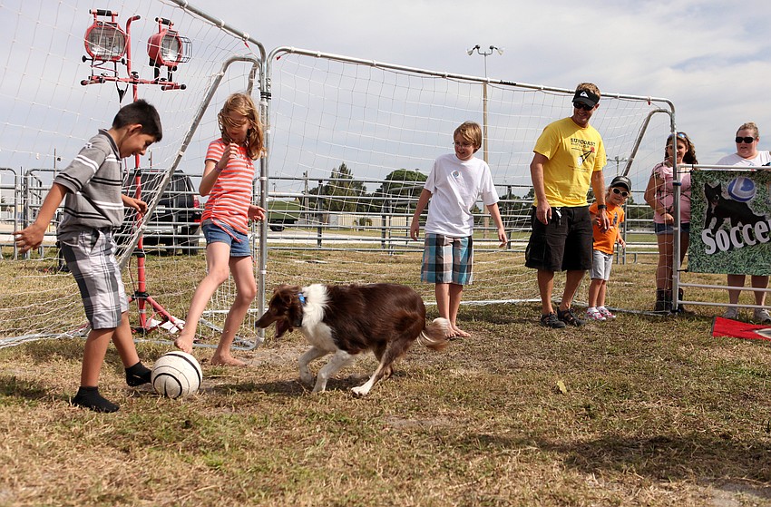 Kids and adults have fun taking part in the Soccer Collies show Saturday, Oct. 27, at the Sarasota Pumpkin Festival.