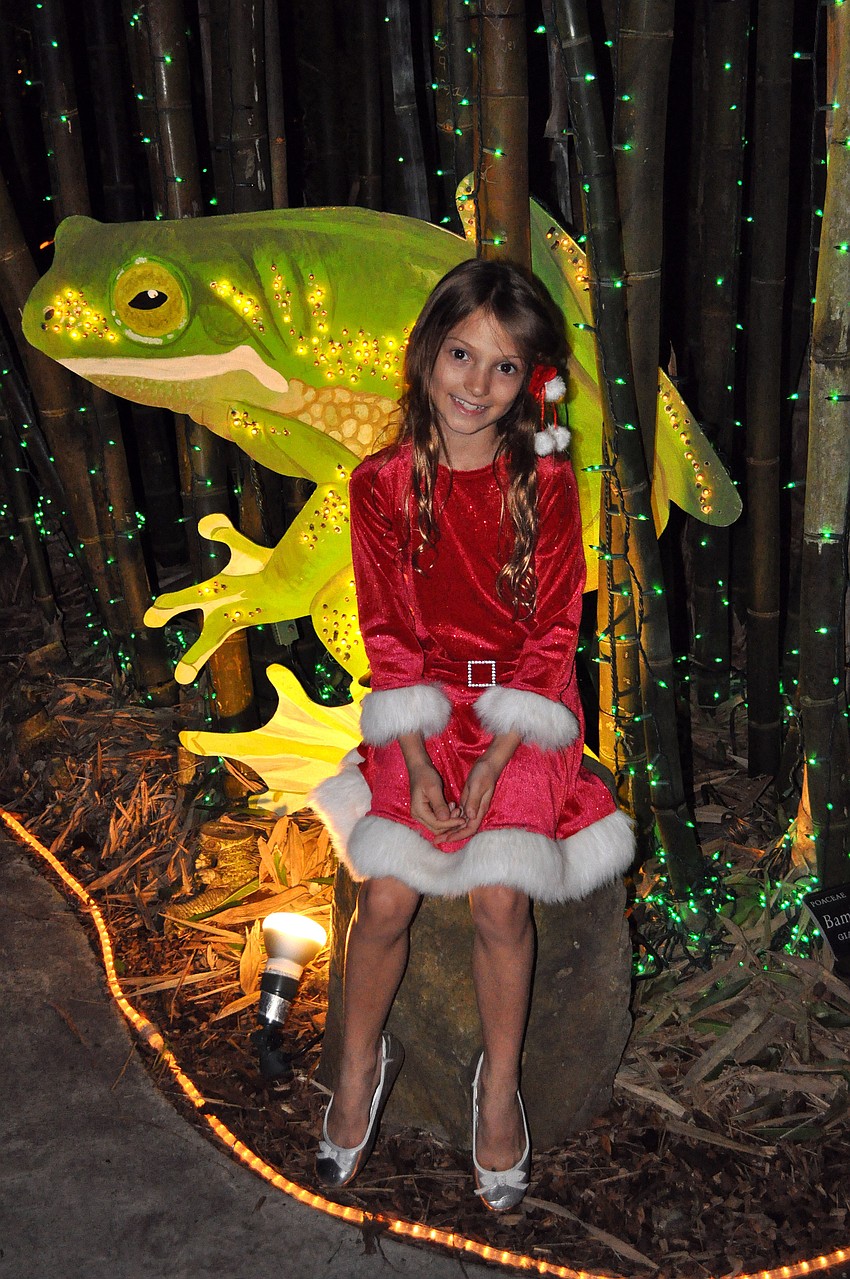 Ella Menke, 7, poses by the lit-up frog and bamboo in her holiday dress.