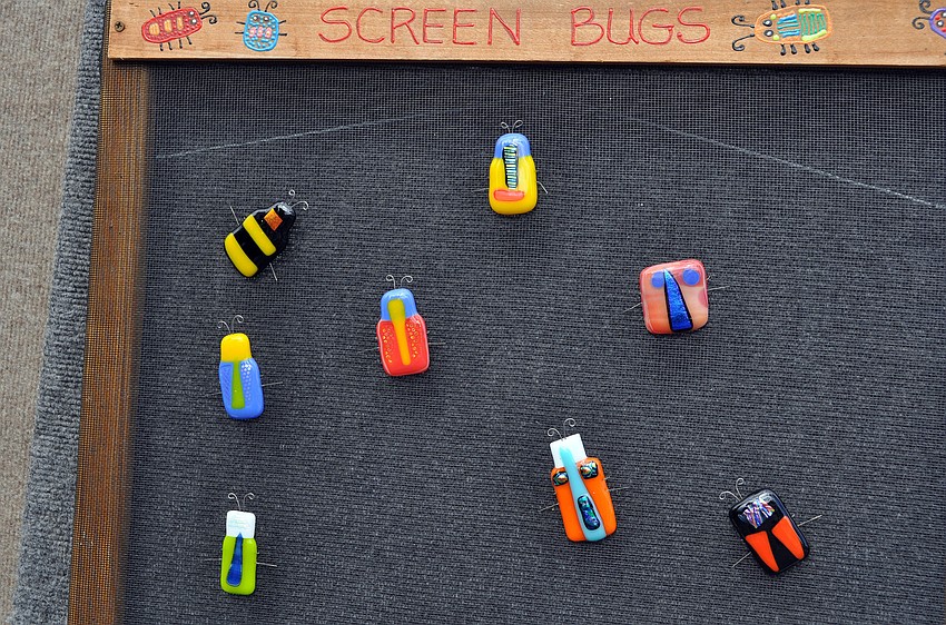 Debbie Hagstromâ€™s Screen Bugs