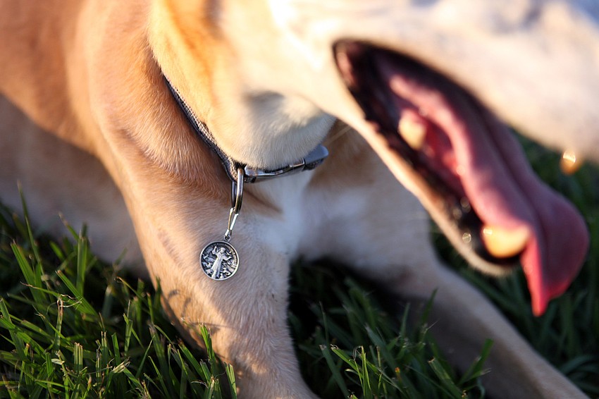 Rudy, 10, wears his medal he got after being blessed Friday, Sept. 28 at Our Lady of Mount Carmel in Osprey.