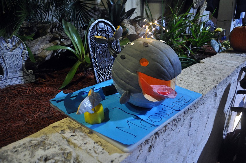 Moonshine the dolphin in pumpkin-form.