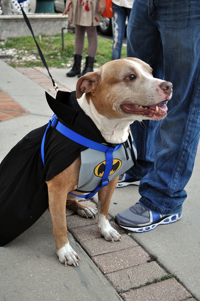 Snoopy, 9, was dressed as Bat Man.