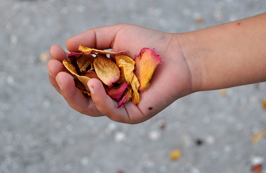 Aukon Rivero threw dried rose petals down the beach and into the Gulf of Mexico during the end of the ceremony.