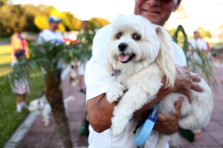 Ponce won for longest ears.