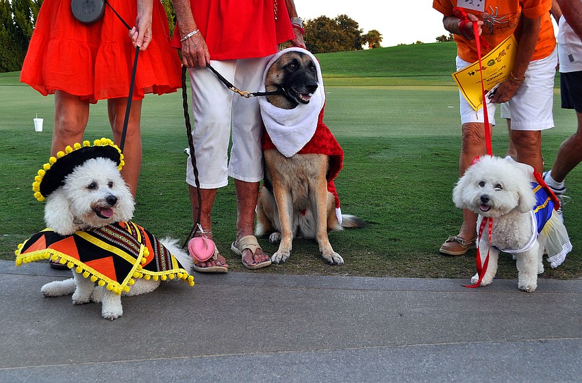 Sonny, Diamond and Brandy won first, second and third in the Peopleâ€™s Choice contest Monday, Oct. 22, during the 2nd annual Halloween Doggie Parade at Stoneybrook Golf and Country Club in Palmer Ranch.