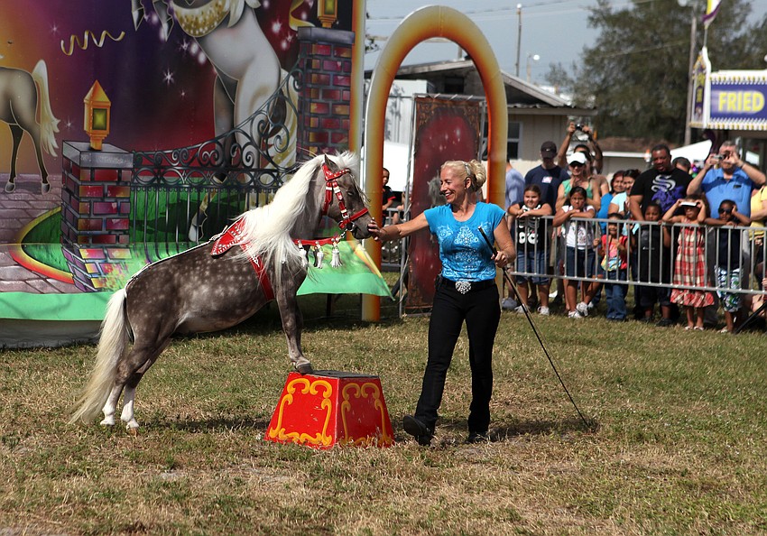 Stormy performs with Lisa Dupree during the Horses Horses Horses show Saturday, Oct. 27, at the Sarasota Pumpkin Festival.