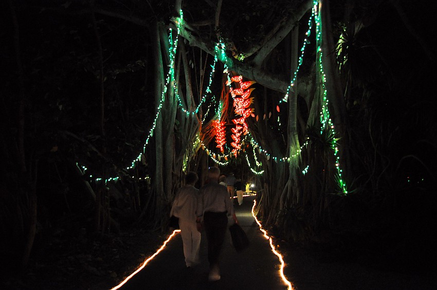 People walk through the strings of lights hung between trees.