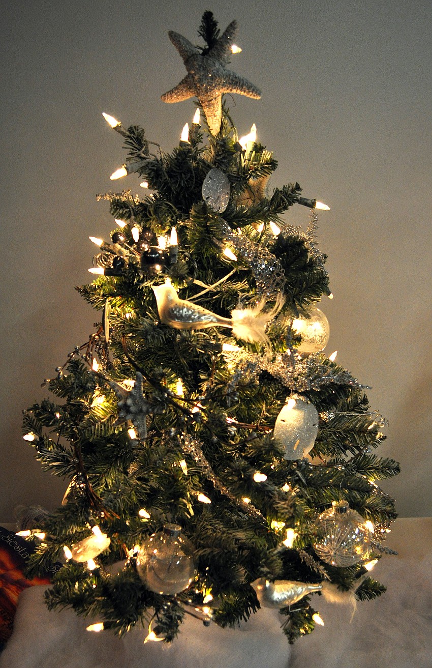 Sand and Silver Tree created by volunteers and staff of the Siesta Key Chamber of Commerce.