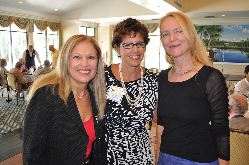 Liz Alpert, candidate for State legislature newly formed District 72, Rita Ferrandino and JoAnne DeVries